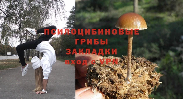 мескалин Медногорск