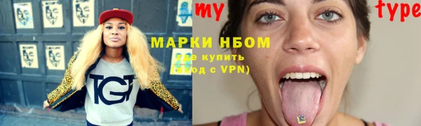 индика Чекалин