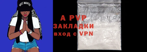 PSILOCYBIN Медвежьегорск