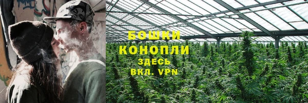 амф Мегион