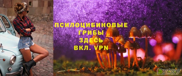стаф Чердынь