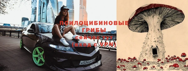 амф Мегион