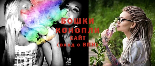мдпв Михайлов