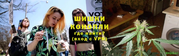 PSILOCYBIN Медвежьегорск