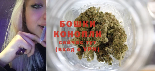 мдпв Михайлов