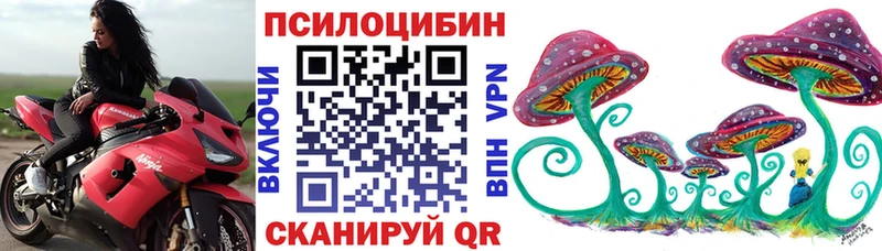 Псилоцибиновые грибы MAGIC MUSHROOMS  Светлогорск 
